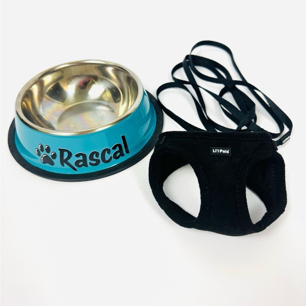 Dog Dish With Black Harness & Leash